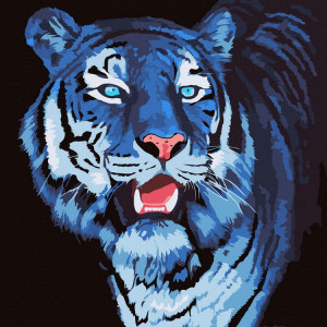 Картина по номерам "Мальтийский тигр"