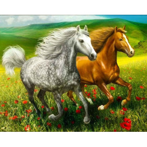 Картина по номерам "Бег лошадей"