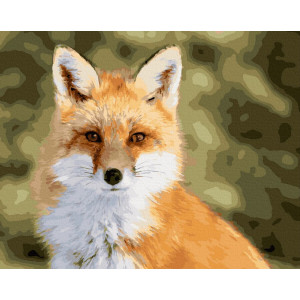 Картина по номерам "Взгляд лисы"