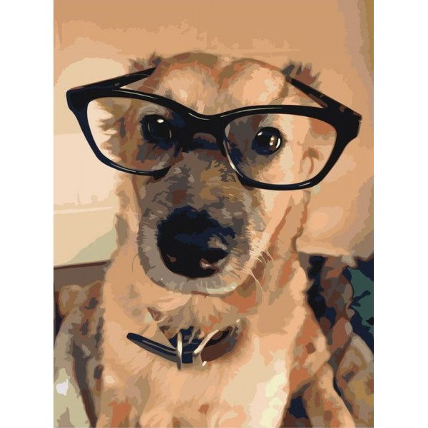 Картина по номерам "Важный пес"