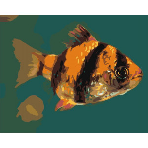 Картина по номерам "Тигровая рыбка"
