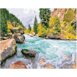 Картина по номерам "Бурлящая горная река"