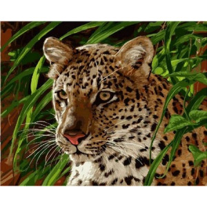 Картина по номерам "Леопард у траві"
