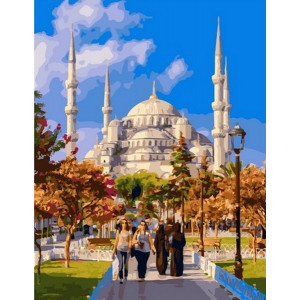Картина по номерам "Величественный Стамбул"