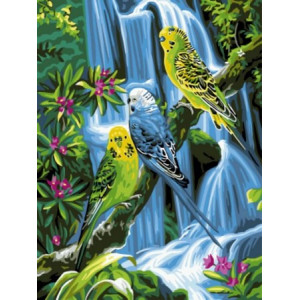 Картина по номерам "Волнистые попугаи"