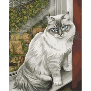 Картина по номерам "Серая кошка"