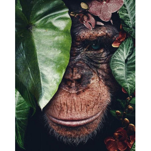 Картина по номерам "Шимпанзе в листьях"