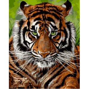 Картина по номерам "Суровый тигр"