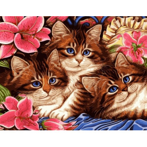 Картина по номерам "Три кота в цветах"