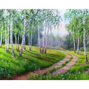 Картина по номерам "Дорога в берёзовом лесу"