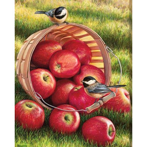 Картина по номерам "Спелые яблочки"