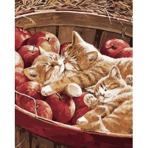 Картина по номерам "Котята и яблоки"