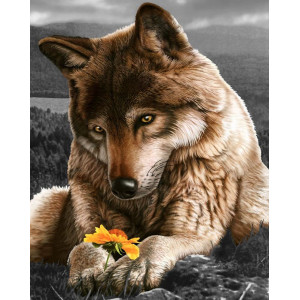 Картина по номерам "Милый волчек"