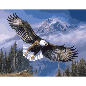 Картина по номерам "Американский орел"