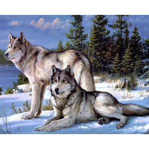 Картина по номерам "Северные волки"