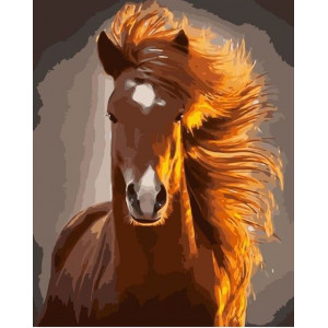 Картина по номерам "Рыжая лошадь"