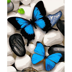 Картина по номерам "Синие бабочки"