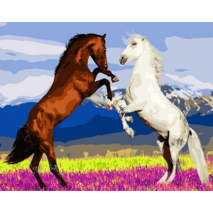 Картина по номерам "Игры лошадей"
