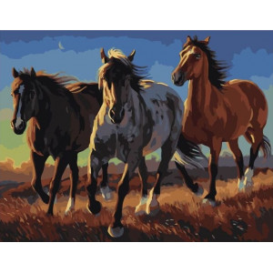 Картина по номерам "Три коня"
