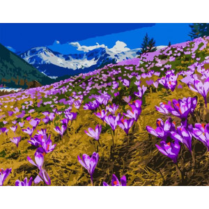 Картина по номерам "Пурпурное поле"