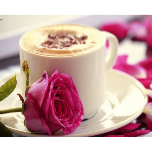 Картина по номерам "Кофе и роза"