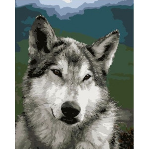 Картина по номерам "Серый волк"