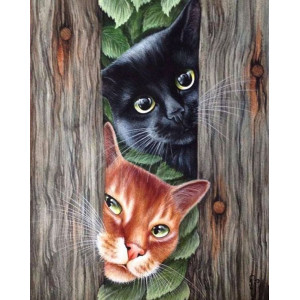 Картина по номерам "Чёрный и рыжий коты"
