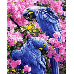 Картина по номерам "Синие попугаи"