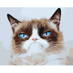 Картина по номерам "Мем: Grumpy cat / Грампі кет, сумний кіт"