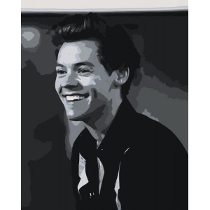 Картина по номерам "Harry Styles"