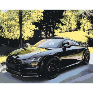 Картина по номерам "Машина Audi ТТ на дорозі в лісі"