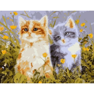 Картина по номерам "Котята"