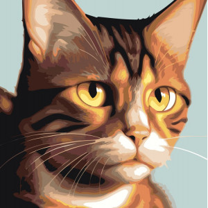 Картина по номерам "Котячий погляд"