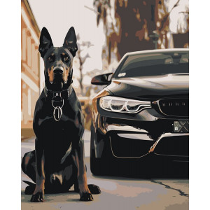 Картина по номерам "Машина BMW та собака доберман"