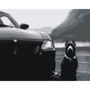 Картина по номерам "Машина BMW и собака Кане-корсо монохром"