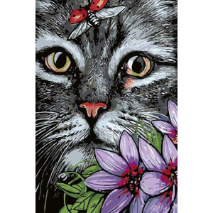 Картина по номерам "Котик"
