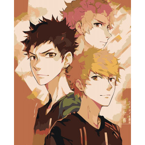 Картина по номерам "Аніме Волейбол Haikyu: Персонажі"