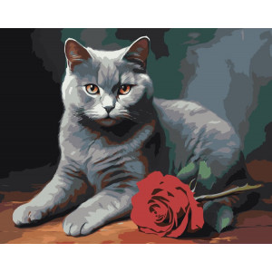 Картина по номерам "Британский кот с красной розой"