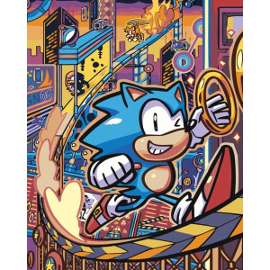 Картина по номерам "Игра Соник Sonic: ёж и кольца в городе"