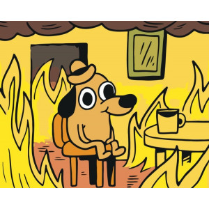 Картина по номерам "Мем: This is fine"