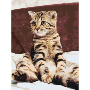 Картина по номерам "Котик"