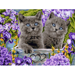 Картина по номерам "Британские котята"