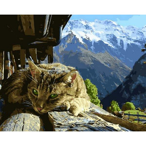 Картина по номерам "Горный кот"