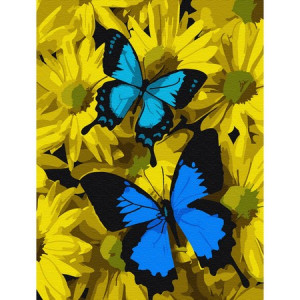 Картина по номерам "Синие бабочки в цветах"
