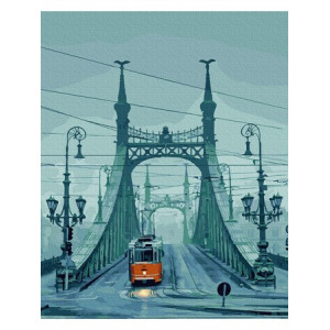 Картина по номерам "Будапешт. Мост свободы"