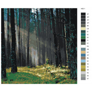 Картина по номерам "Світло у лісі"