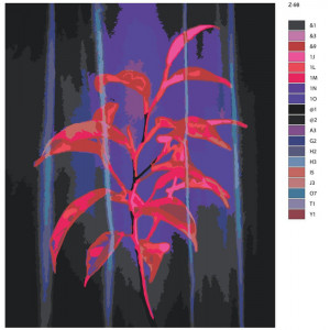 Картина по номерам "Растение"