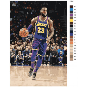 Картина по номерам "Баскетболіст Джеймс Леброн. Lakers"