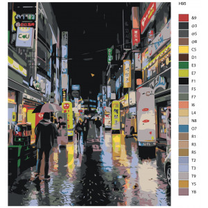 Картина по номерам "Сеул. Нічна вулиця під дощем"