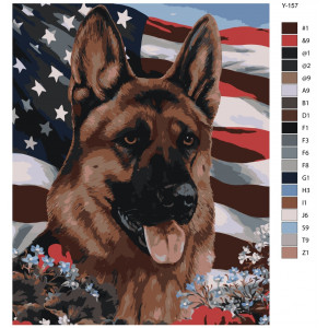 Картина по номерам "Німецька вівчарка патріот США. Собака"